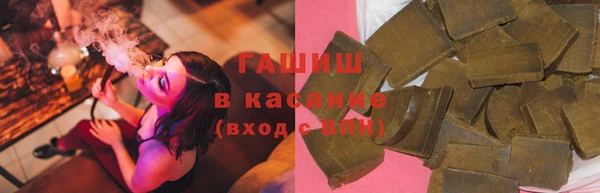 крисы Алзамай