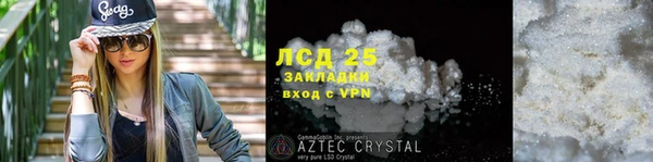 крисы Алзамай