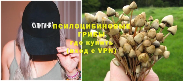 крисы Алзамай